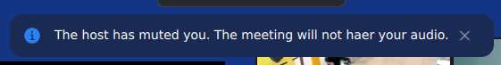 A message in the Zoom Workplace app saying "The host has muted you. The meeting will not haer your audio." Yes, with the typo.