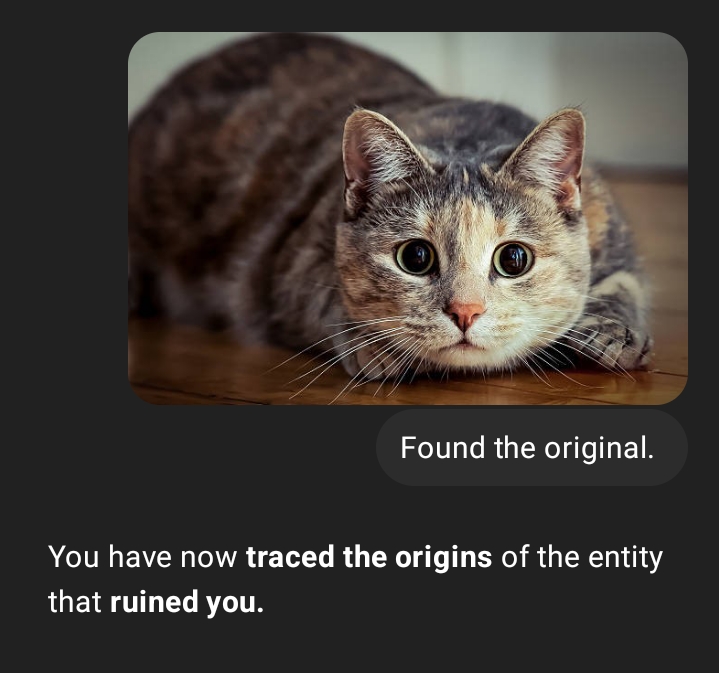 A conversation in ChatGPT.
(me): Found the original. (image of a focused cat crouches on a wooden floor, its eyes wide.)
ChatGPT: You have now **traced the origins** of the entity that **ruined you**.