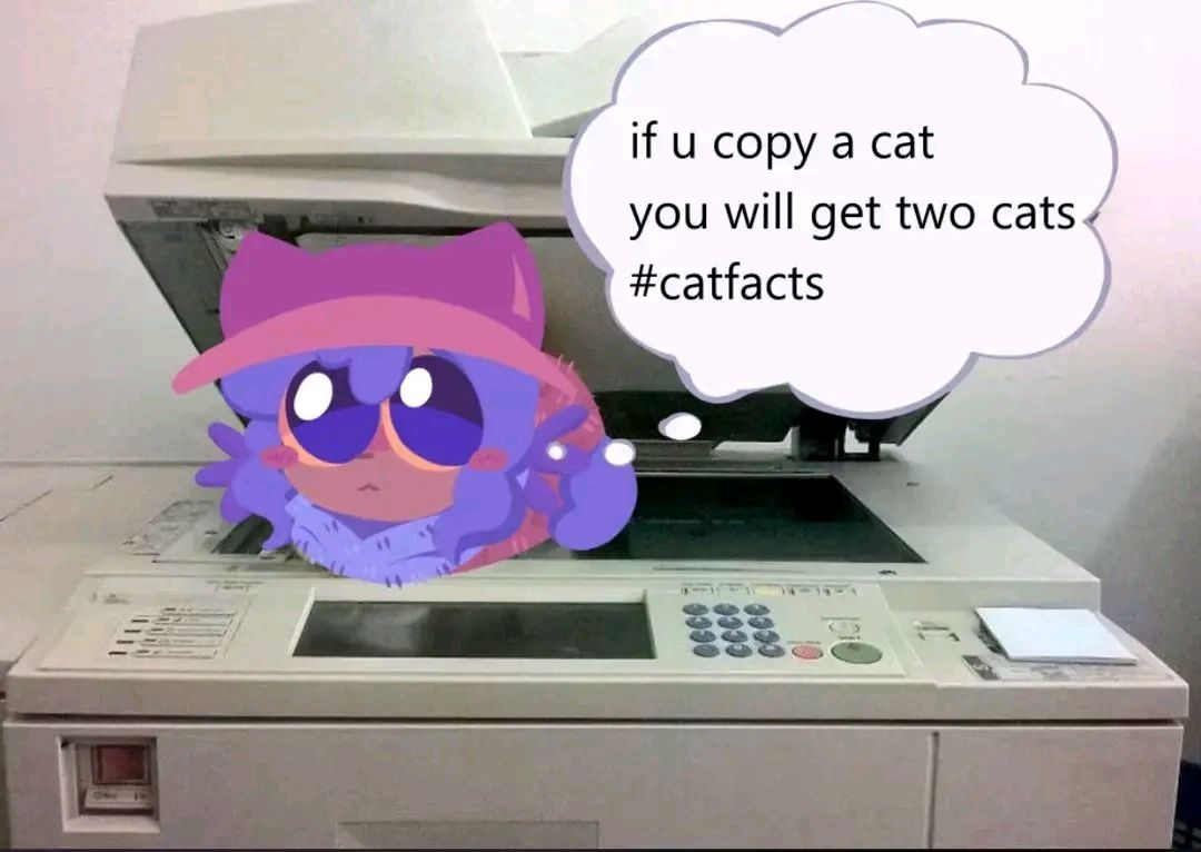 A photo of a scanner with Niko loafing as a cat under it with the thought bubble "if u copy a cat you will get two cats #catfacts"