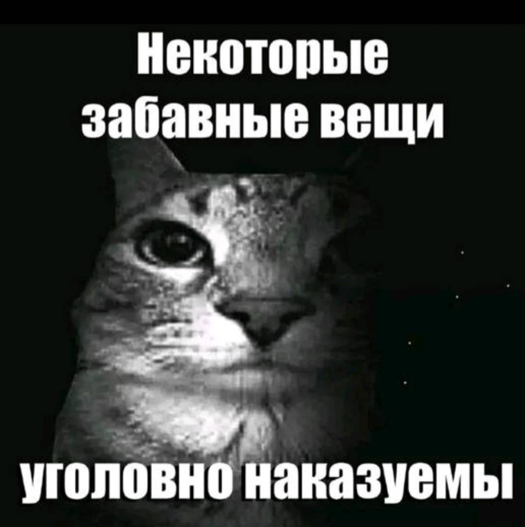 A dramatic picture of a cat with a dark background with the caption "Некоторые забавные вещи уголовно наказуемы"