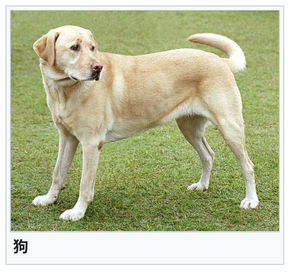 Wiktionary infobox image of dog