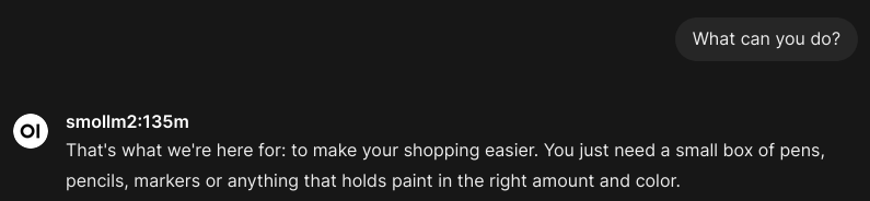 A conversation with a large language model (SmolLM 2 with 135 million parameters) with the first query being "What can you do?" and the model response being "That's what we're here for: to make your shopping easier. You just need a small box of pens, pencils, markers or anything that holds paint in the right amount of color."